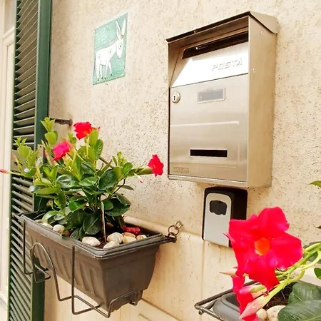 Apartament Casa Ciuco